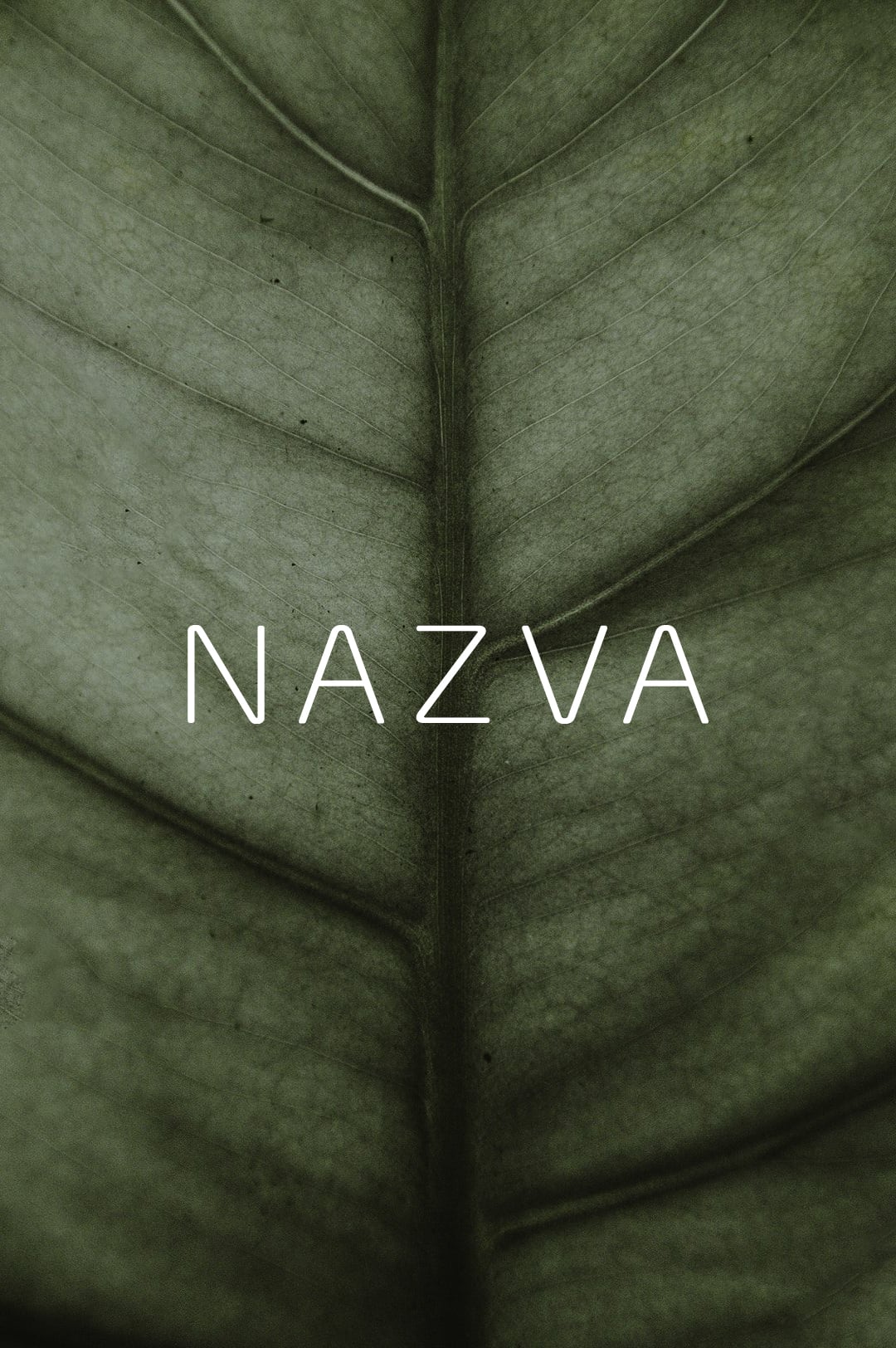 Same Te Studio – Nazva
